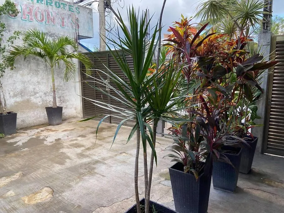 Villa Casa Donde Entra La Luz Y Vive La Naturaleza Cctv